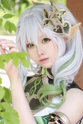 朝霧合（Ai-chan）- Nahida