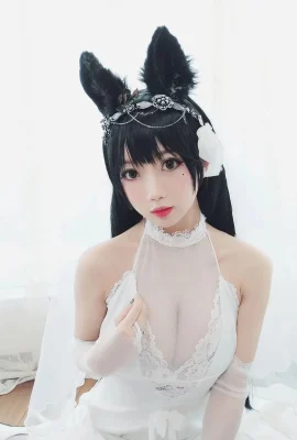菊代狗