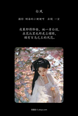 白鳳 壹萱
