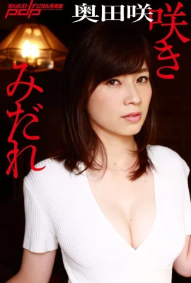oda saki（照片）《 saki midare》（92p）