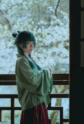 -矢量魚- – Maomao