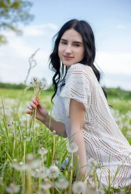 Sasha Jane  – 蒲公英（105p）