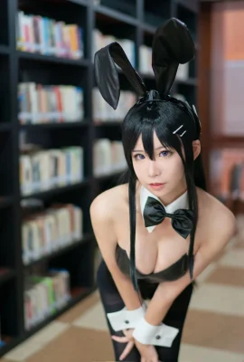 動漫博主愛老師_PhD – 兔女郎學姐 (8P)