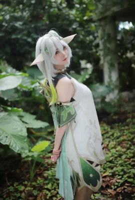 uesugi大米-Nanishida