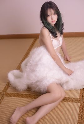 瘋貓ss Vol.104 2022夏日限定A本毛絨毯