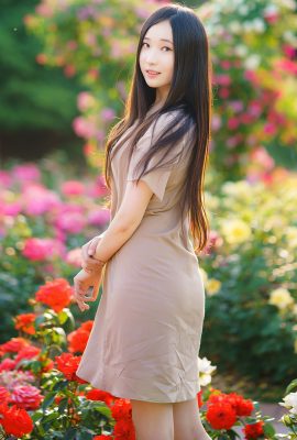 小鹿斑比 – Lacerta 攝影