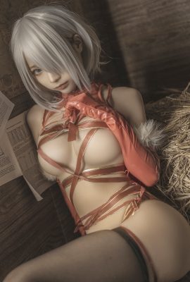 蠢沫沫Vol.145 2B-聖誕