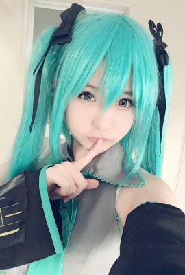 習擺呆 – 初音