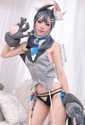 鈦合金TiTi – 美遊貓咪
