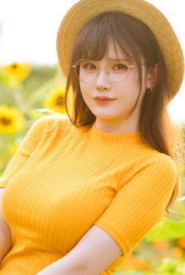 前羽_rr – 向日葵
