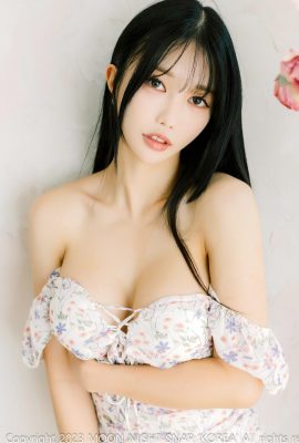 月夜快照雲錦 – 不能有你