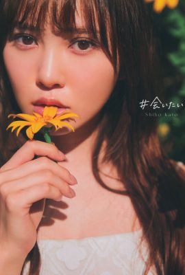 寫真集 2023.06.20 日發給坂46 加藤志穗 1st 寫真集 I Want To See You A