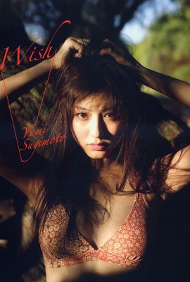 寫真集 2010.11.28 杉本由美 杉本由美 – Wish