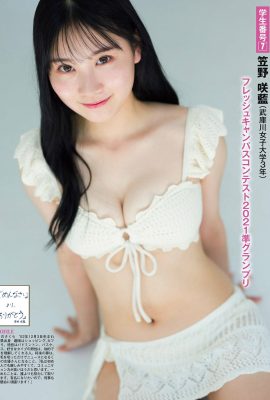 FLASH 2023-06-20 No.1692 小和田奈奈 橋本里奈 樋口希娜 加藤光希 渚 鹿野 高橋