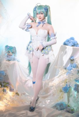 星之遲遲Hoshilily – 2024年02月計畫A 初音未來粉紅蝶花精靈