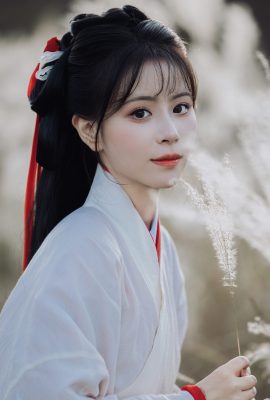 YiTuYu藝圖語Vol.6090 Gong Zi Bu Huai