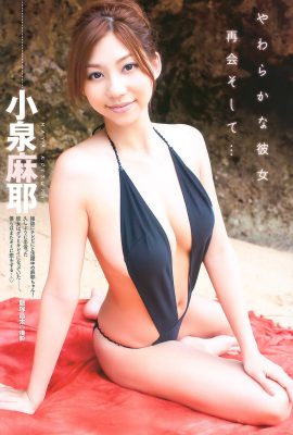 Young Animal Arashi No.03 清水優子 清水優子 x 小泉麻也 小泉麻也 x 朝倉優 朝倉優