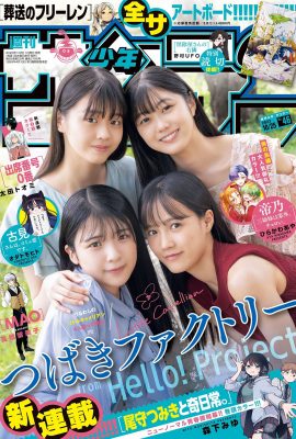 少年Sunday 2023 No.46 由布 魯野 馬林 福田佑信 葛西詩織 八木