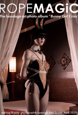 ROPEMAGiC 鈴木憐二 – 兔子女郎危機