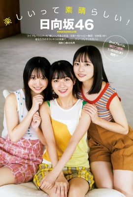 周刊Young Jump 2023 No.49 往坂46 Nodoka Shizume Nodoka Shizume x Misaki Nako Misaki Nako