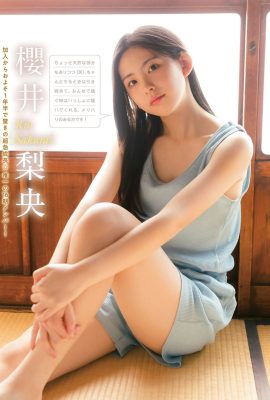 Young Magazine 2023年第52期早安少女組。 23