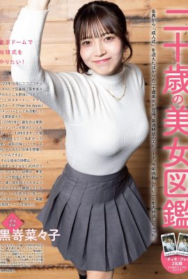 FLASH 2024.01.23 七瀨 西野七中 矢野麻子 谷池醬 奈良美春