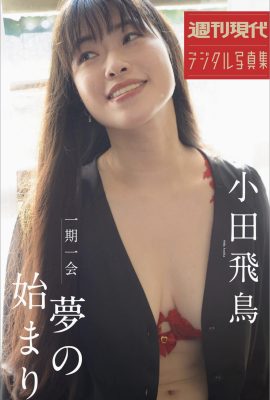 織田飛鳥 織田飛鳥 千載難逢的機會 夢想的開始