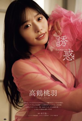 青年冠軍 2024 No.06 南美洲由香 高鶴百葉