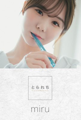 數位相簿 Miru – Tranceretinal 第 1 部分