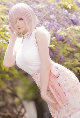 星之遲遲Hoshilily – Fgo-瑪修