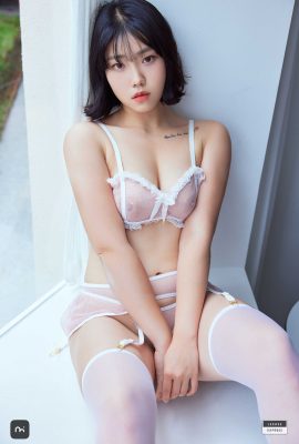 LEHC-228A 監視器 (75P)