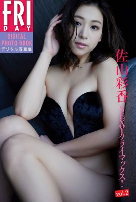 JP 佐山彩香佐山彩香 – 性感高潮 Vol.2 (65P)
