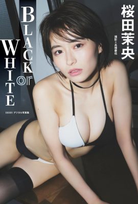 JP 櫻田真央 櫻田真央 – 黑或白 (41P)